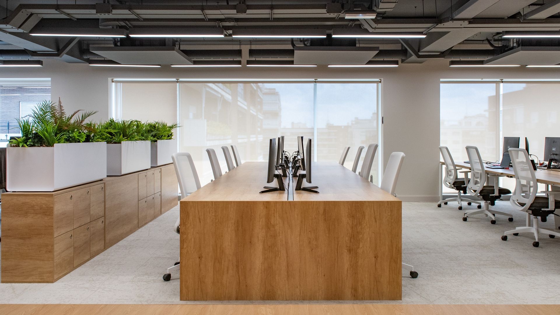 Modern office space with wooden desks, computers, white chairs, and indoor plants.